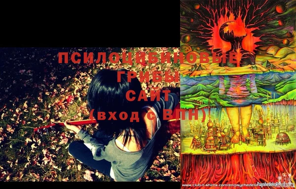 a pvp Володарск