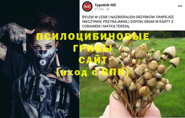 винт Верхний Тагил